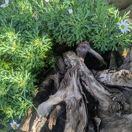 La Porta Dell' Eden Споторно