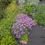 La Porta Dell' Eden ゲストハウス スポトルノ